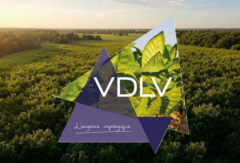 vdlv-et-la-nicotine-vapologique-blog-le-petit-vapoteur 